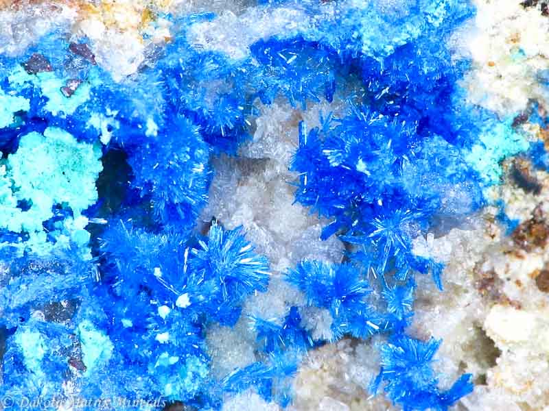 Linarite Mineral Specimen For Sale