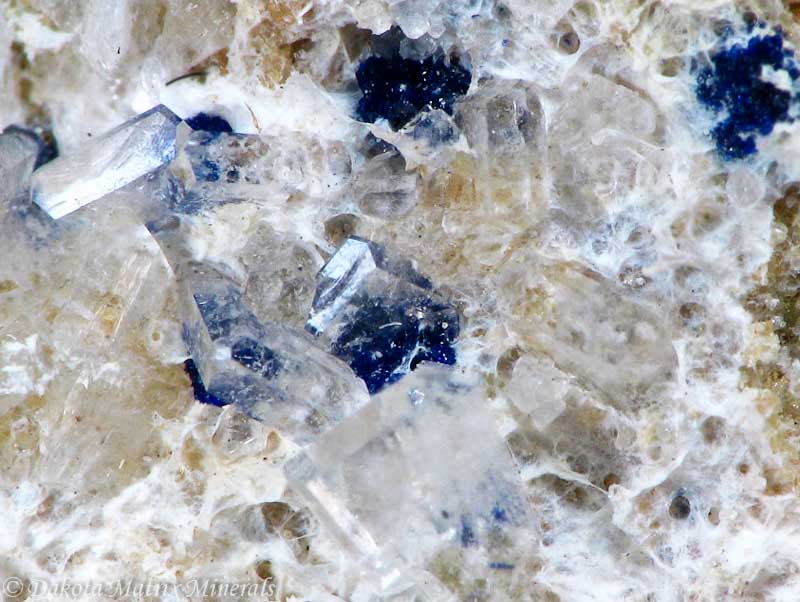 scatchite wiki